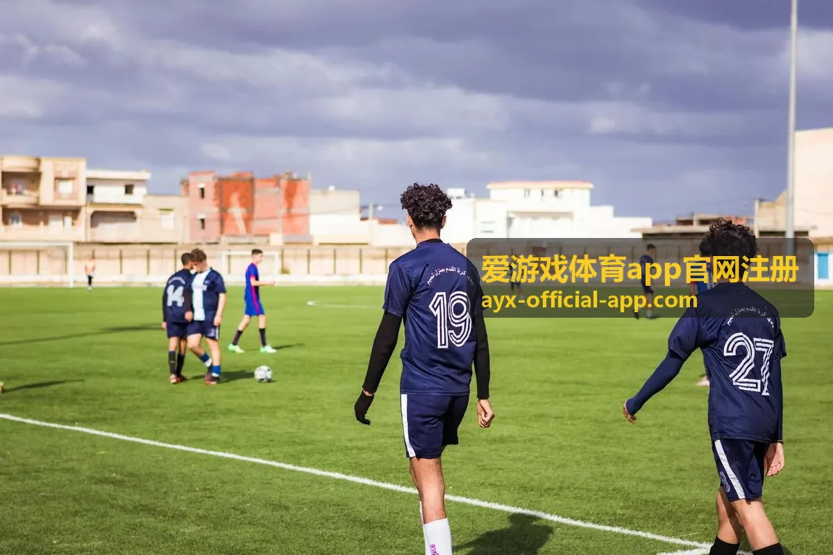 爱游戏体育app官网注册安全防护