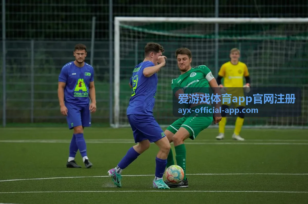 爱游戏体育app官网注册案例二